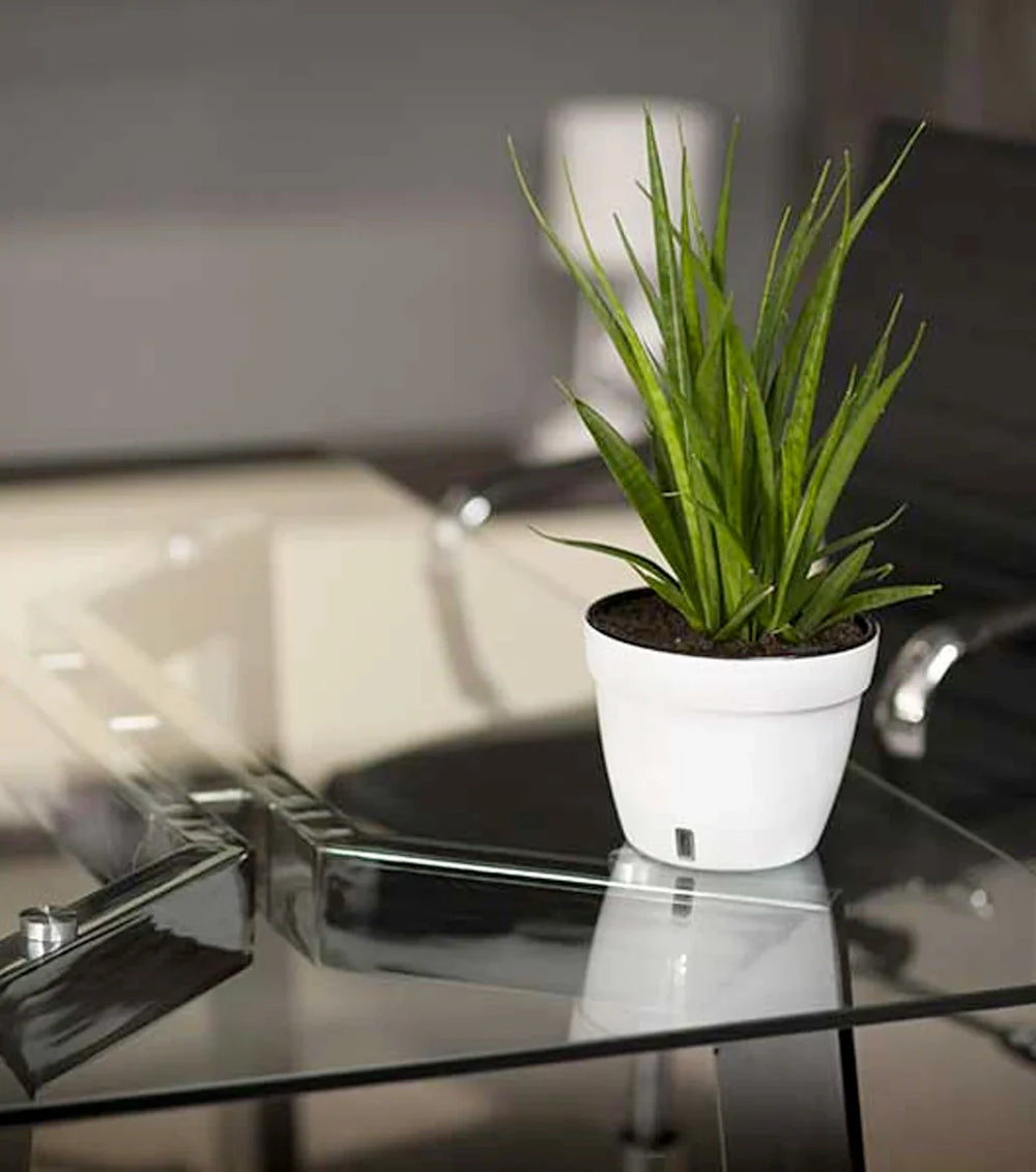 Glass Table Tops vs. Wood: Pros and Cons