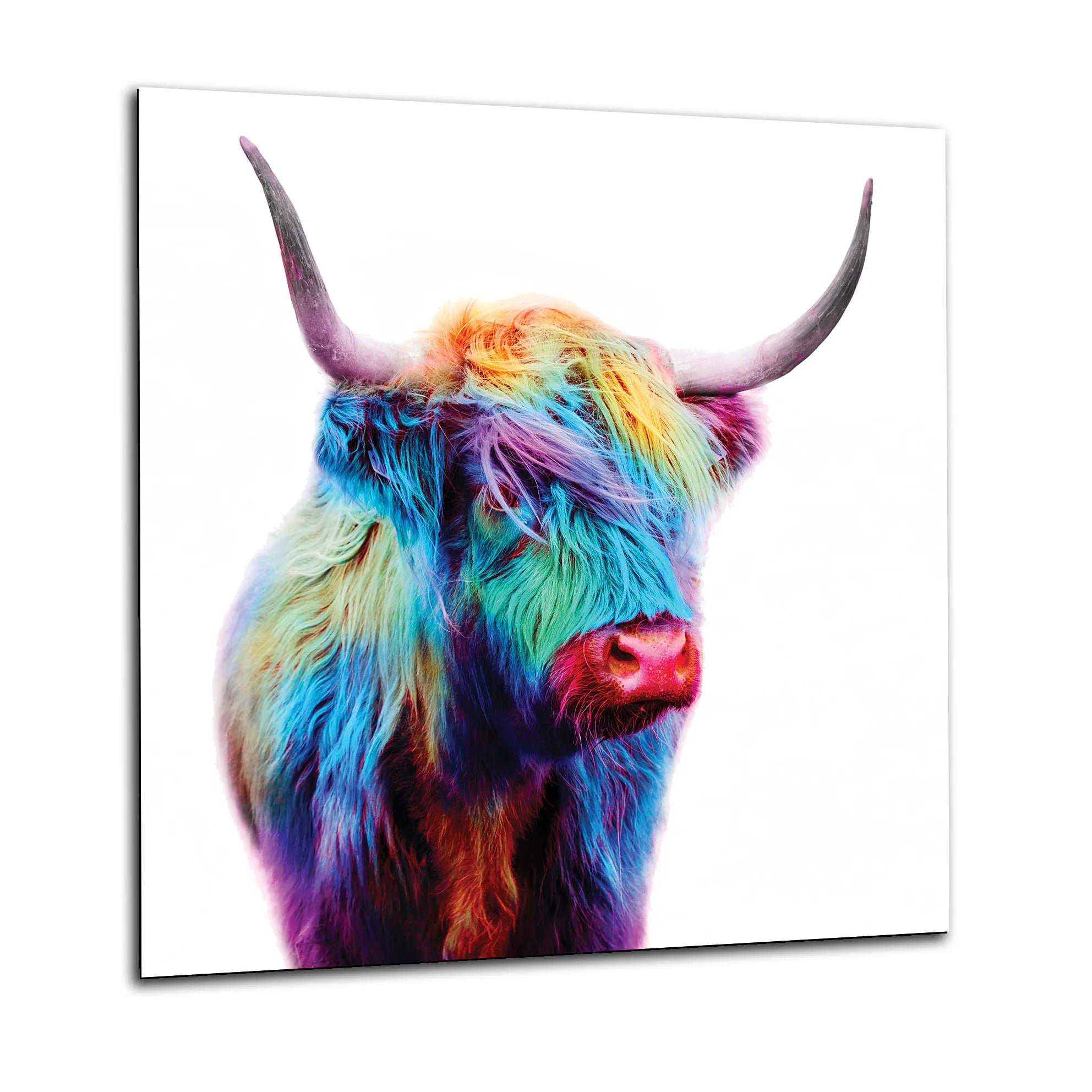 Colourful Cow Glass Splashback