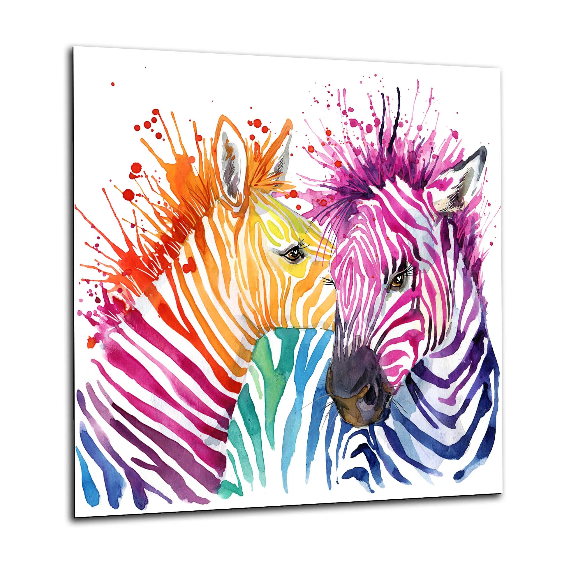 Colourful Zebra Glass Splashback