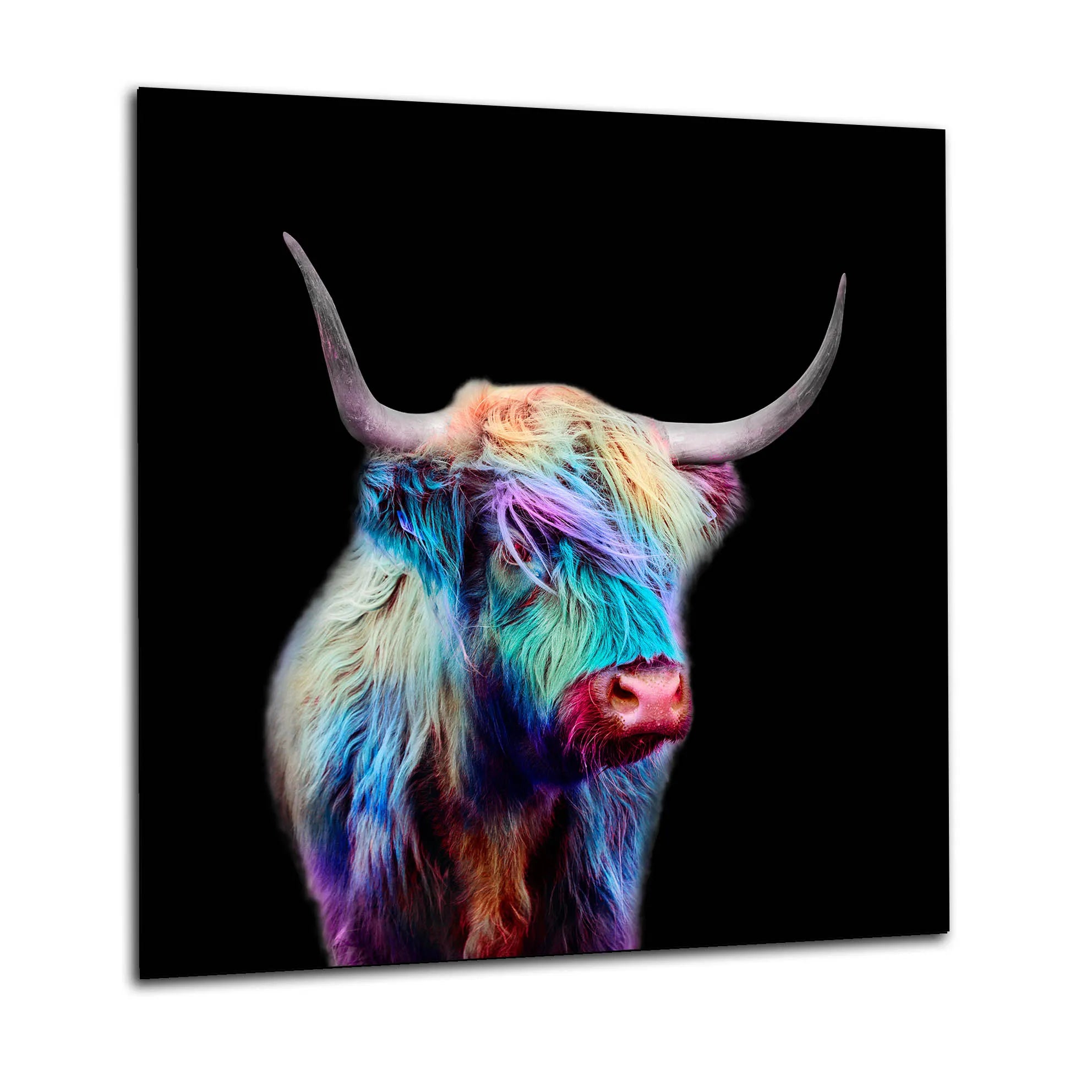 Multi-Coloured Cow Glass Splashback