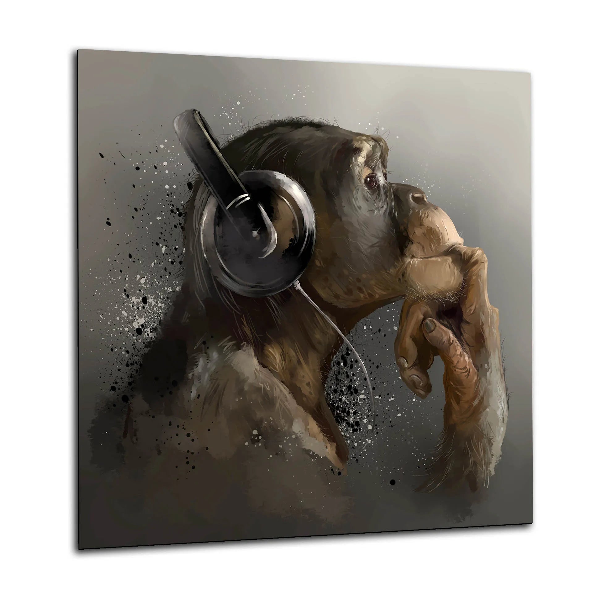 Thoughtful Monkey Glass Splashback