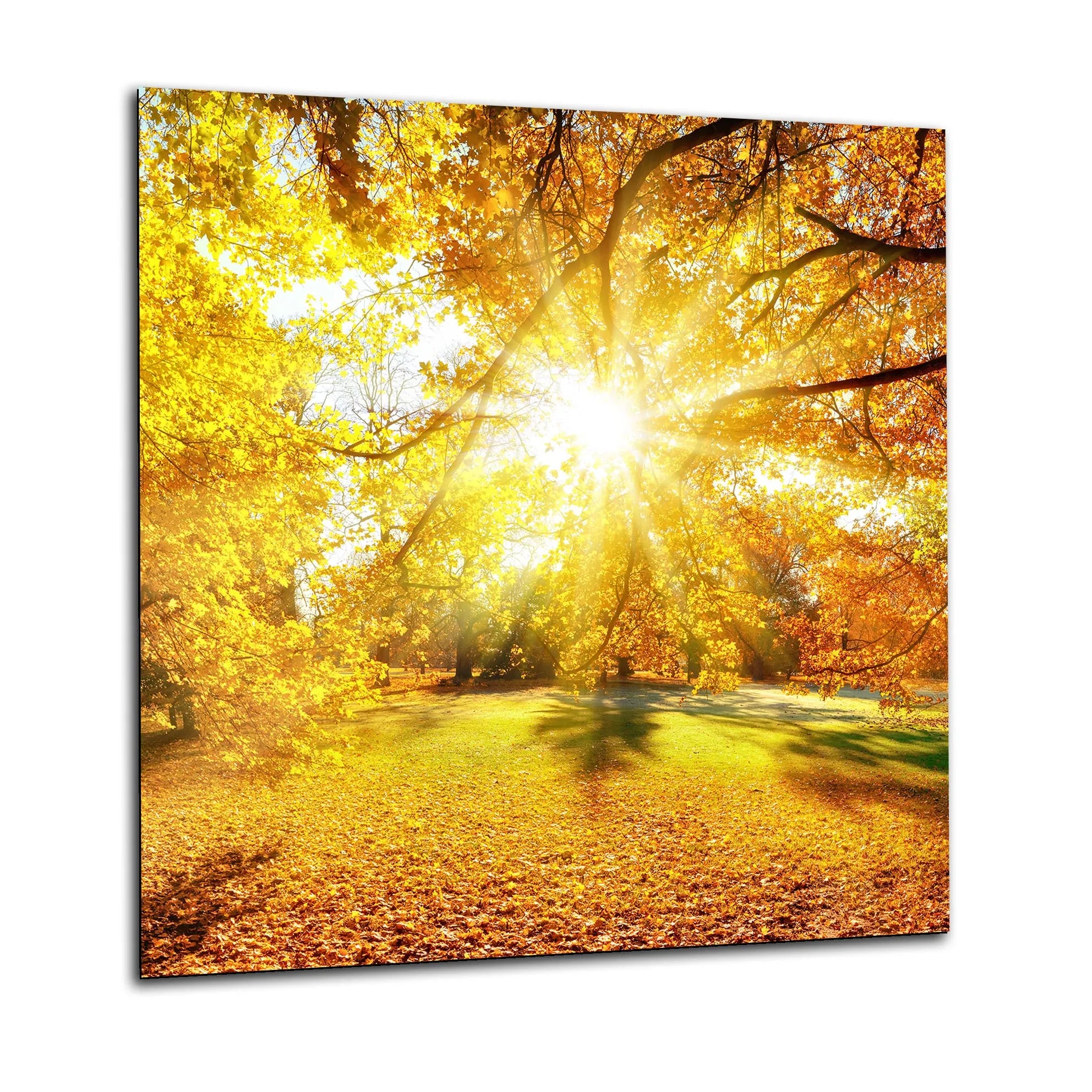 Autumn Sunset Glass Splashback