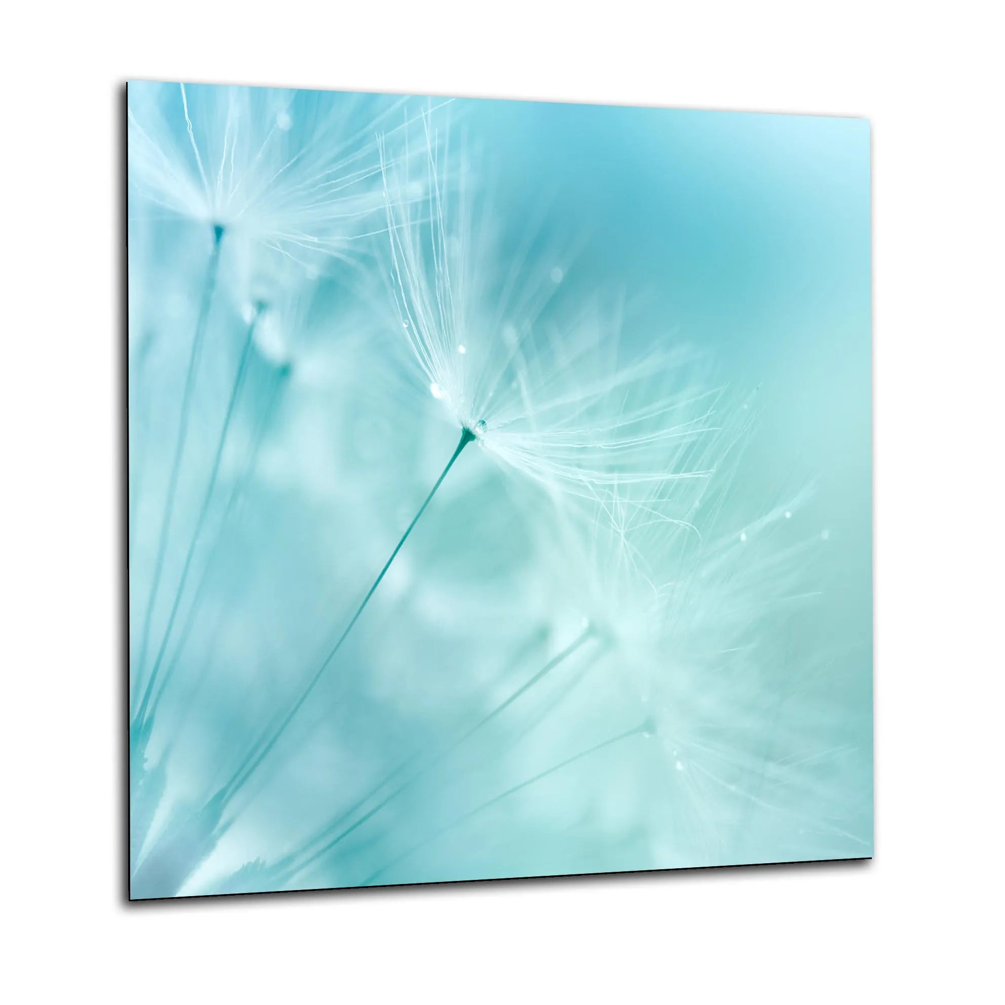 Blue Dandelions Kitchen Splashback