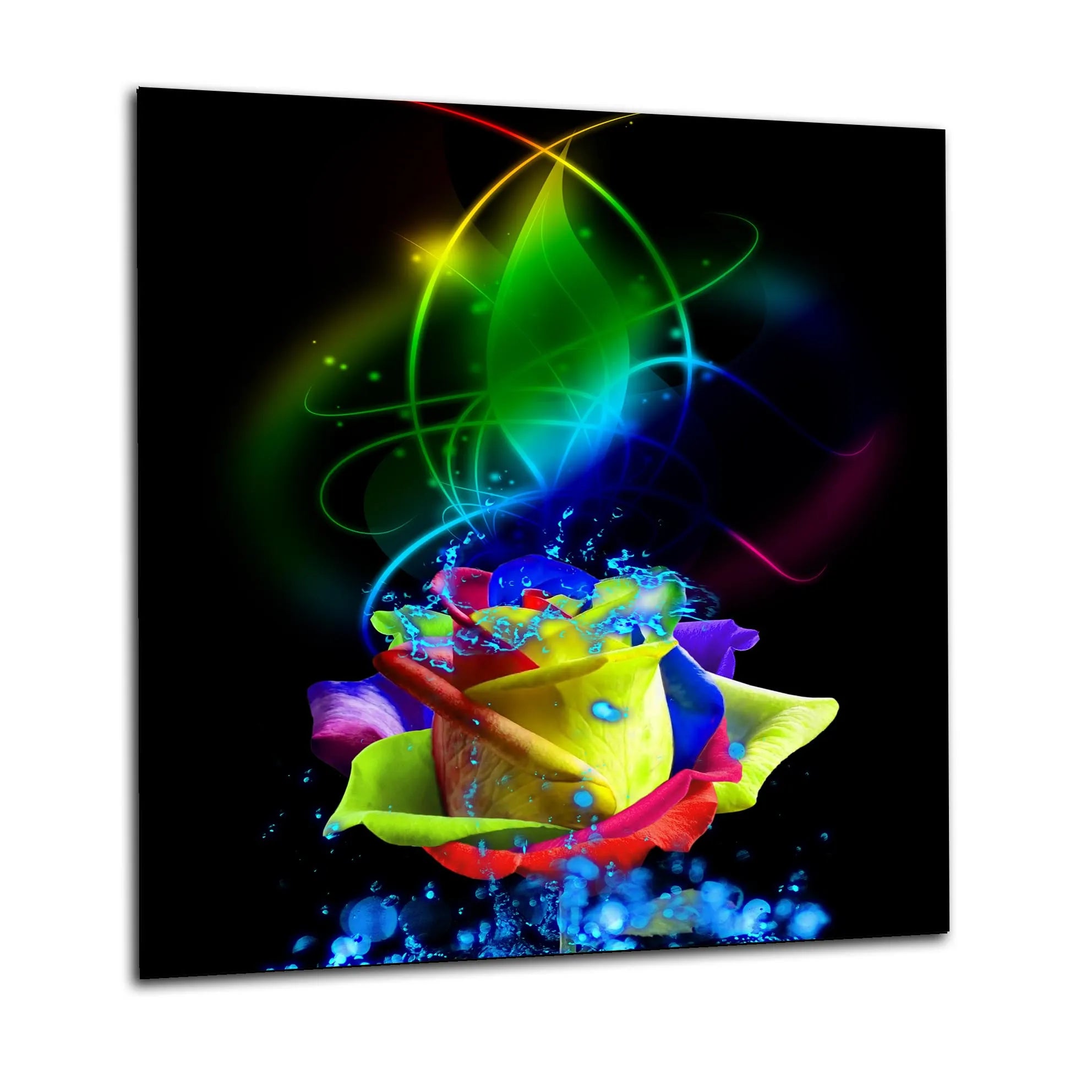 Colourful Rose Kitchen Splashback