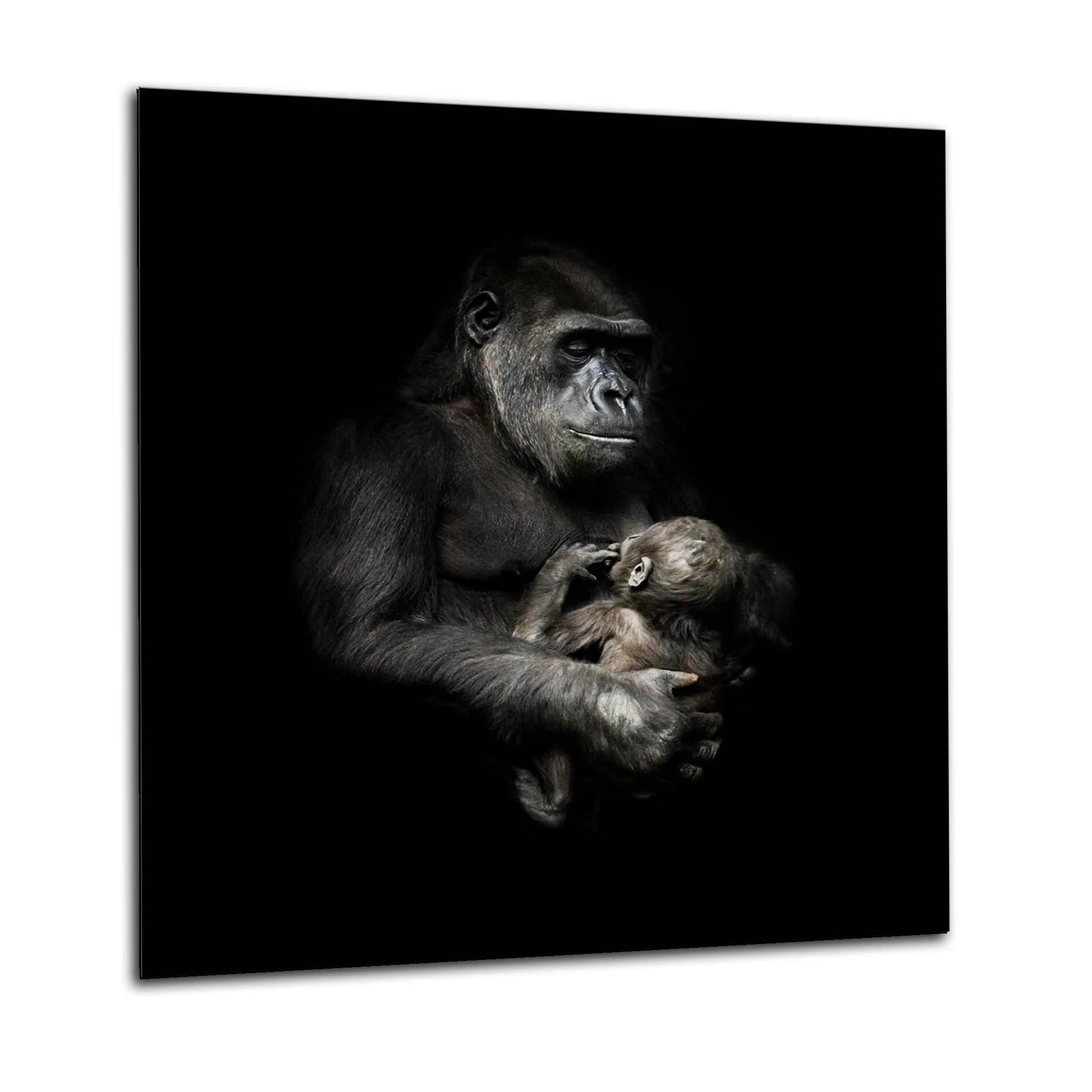 Baby Gorilla Kitchen Splashback