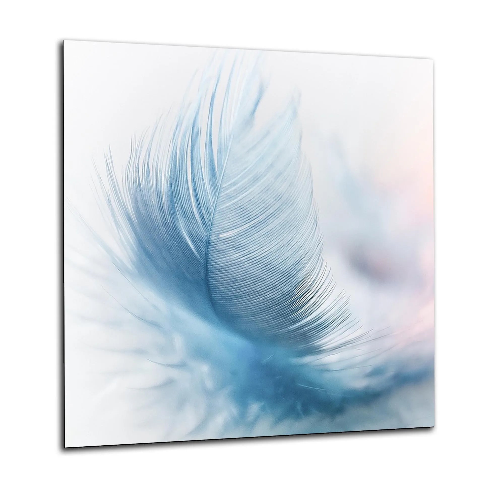 Blue Feather Glass Splashback