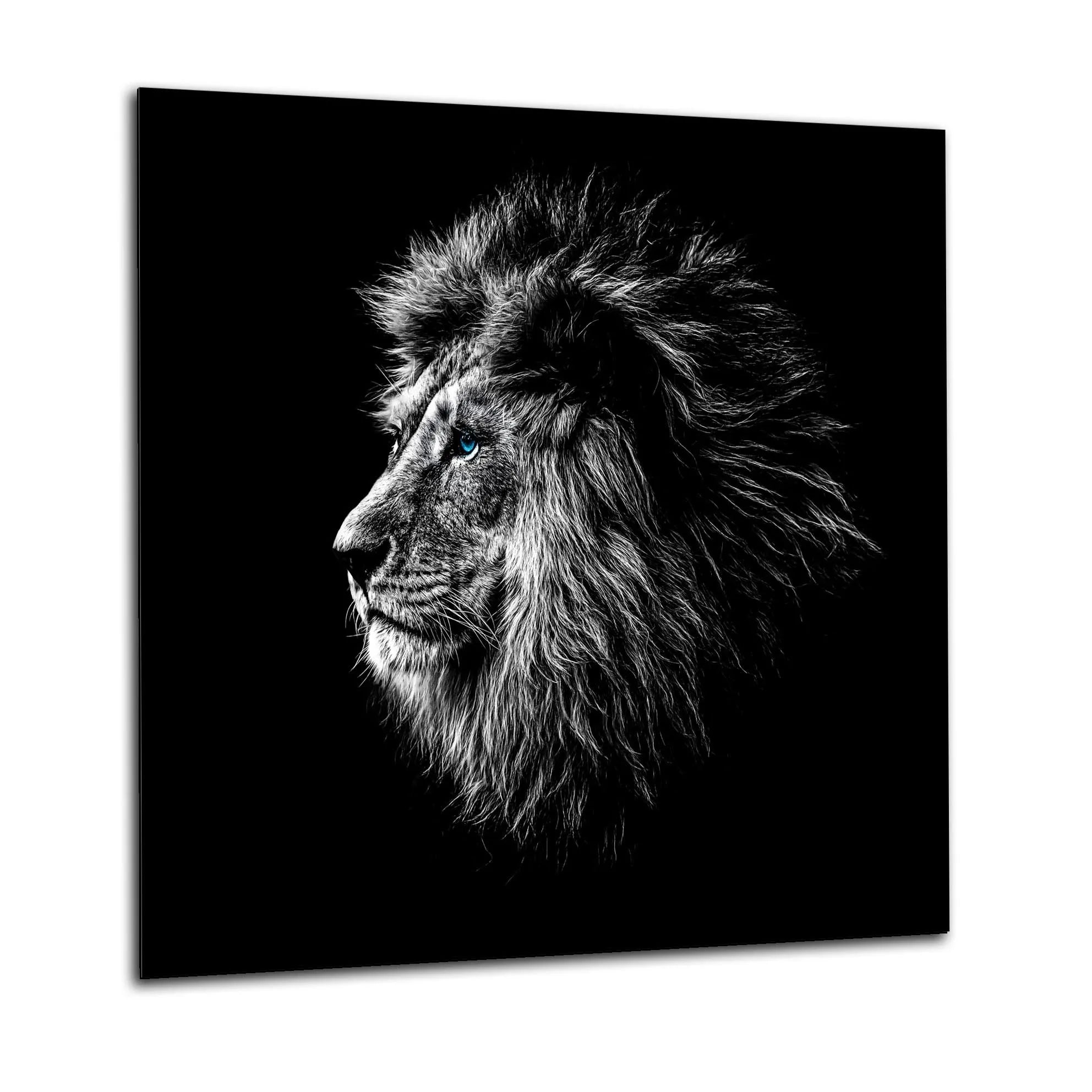 Lion Kitchen Splashback