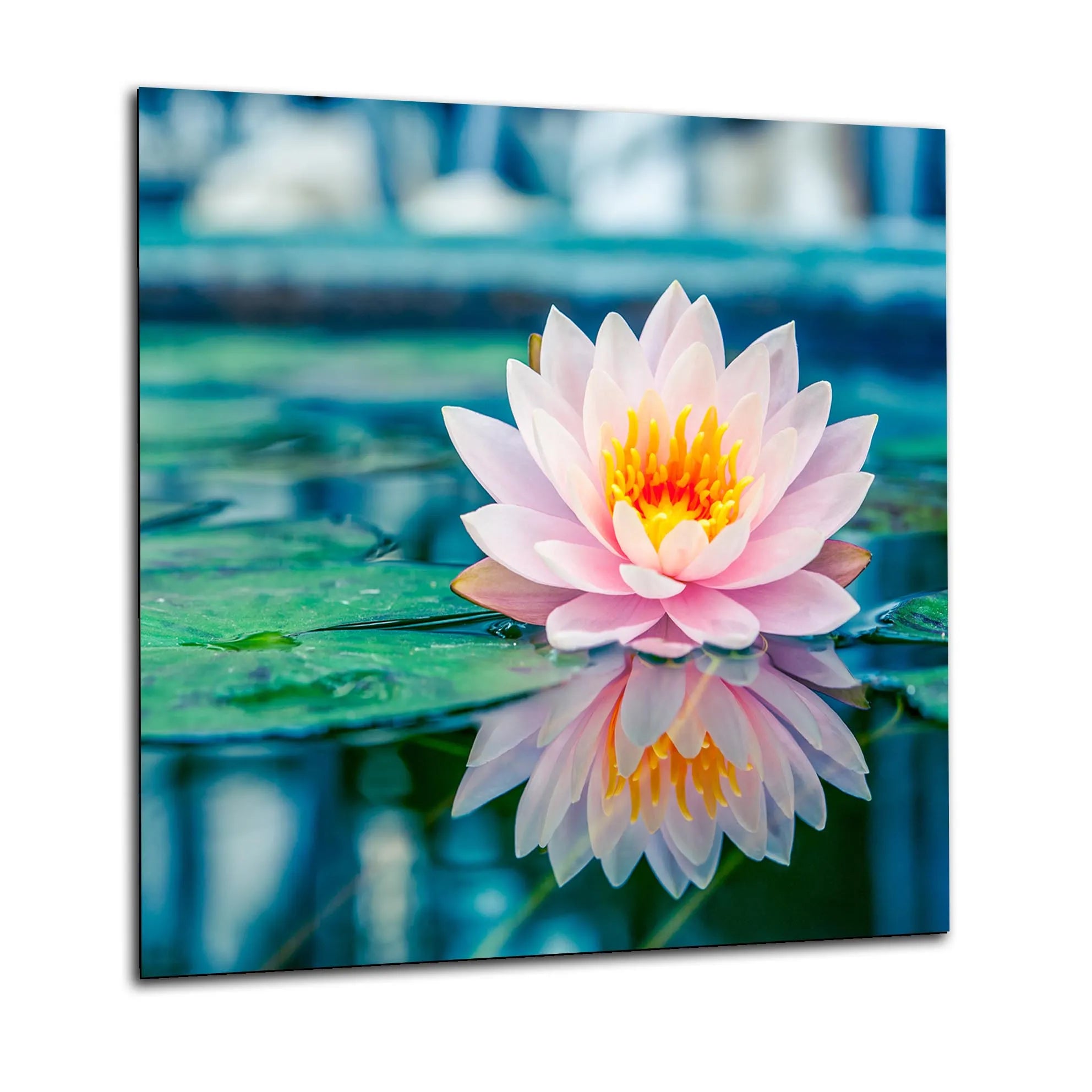 Pink Water Flower Kitchen Splashback