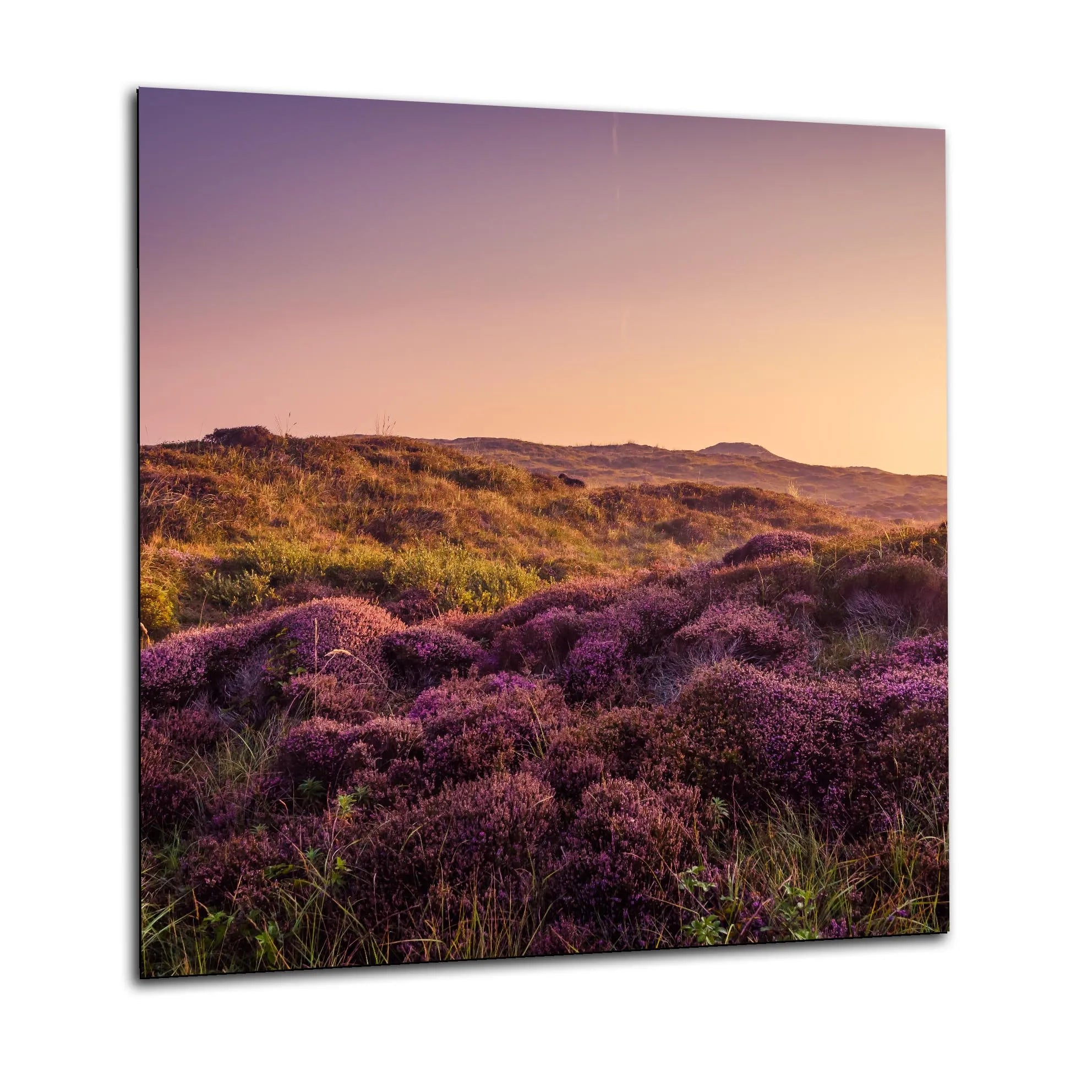 Heather Glass Splashback