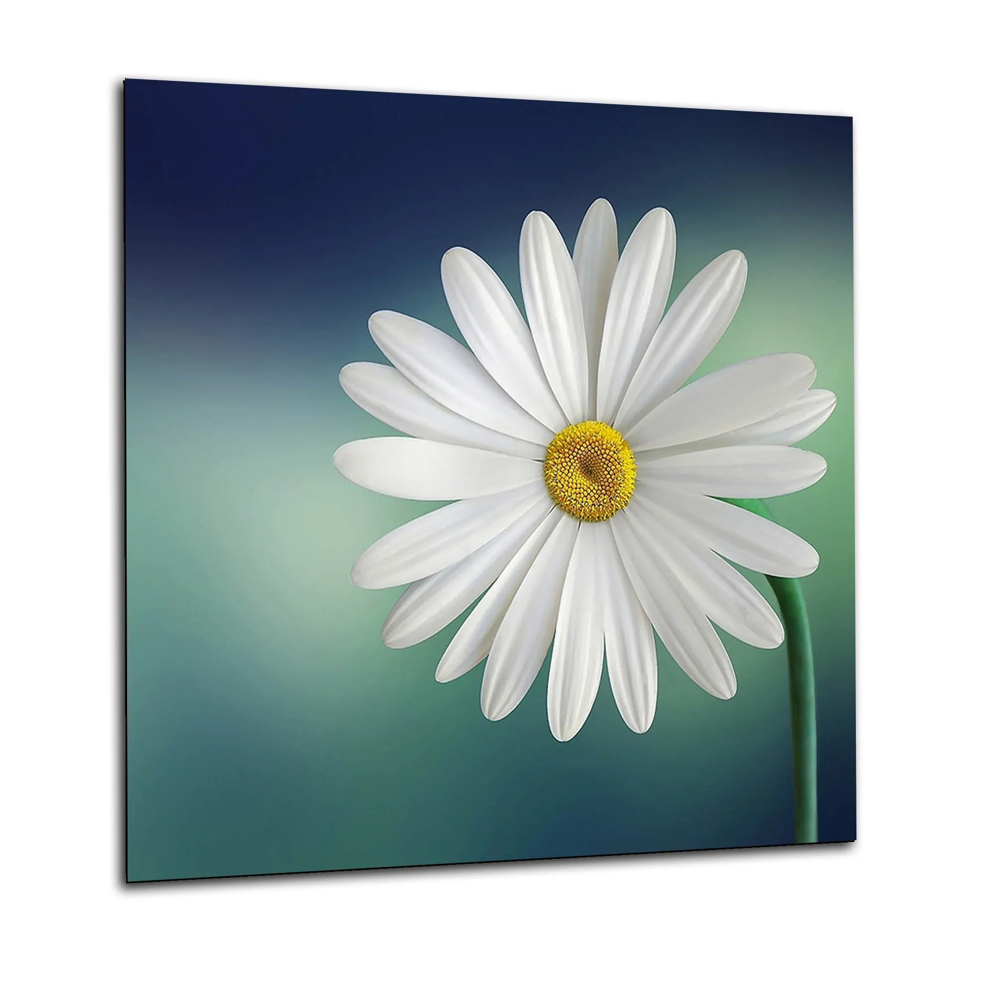 Flower Kitchen Splashback