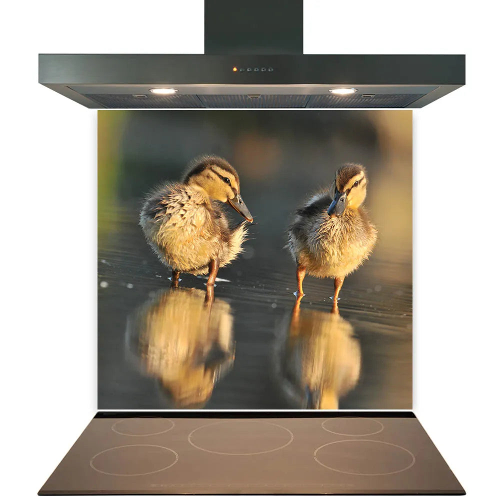 Ducklings Glass Splashback