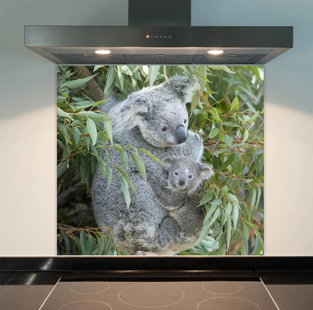 Koala Glass Splashback
