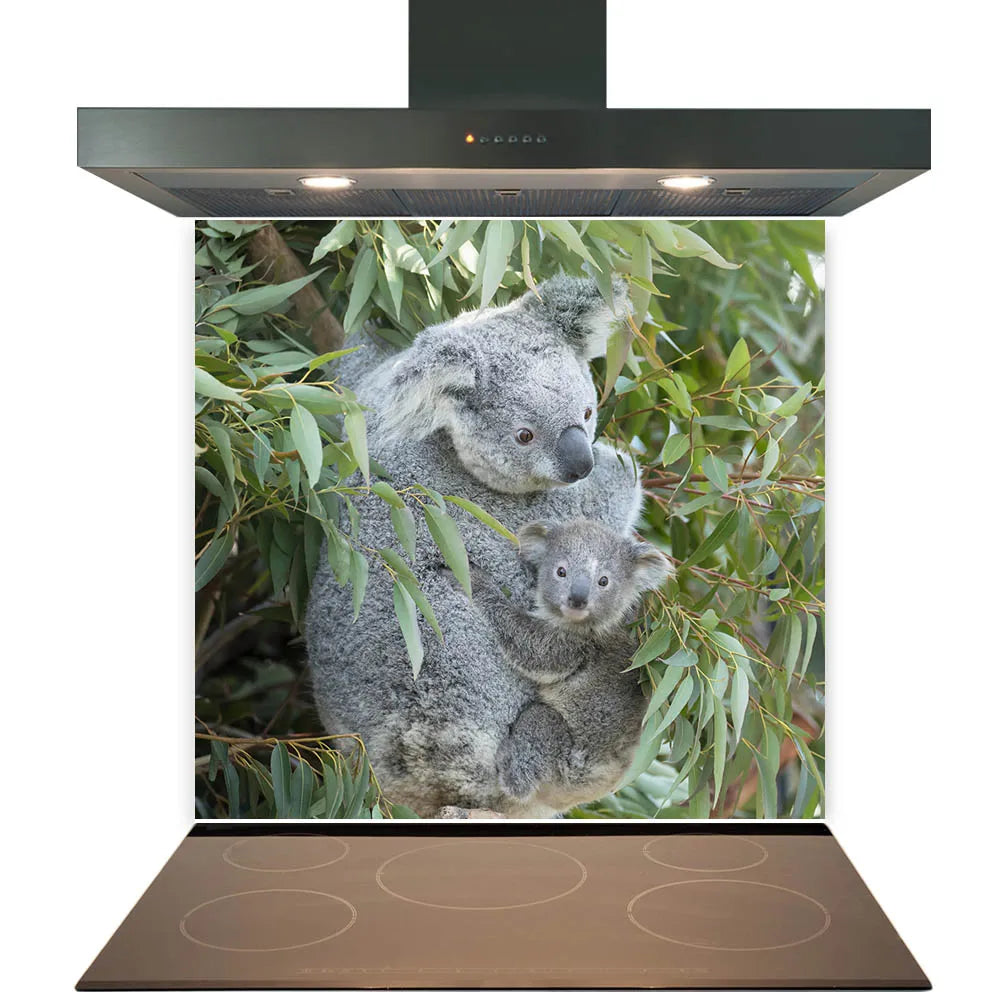 Koala Glass Splashback