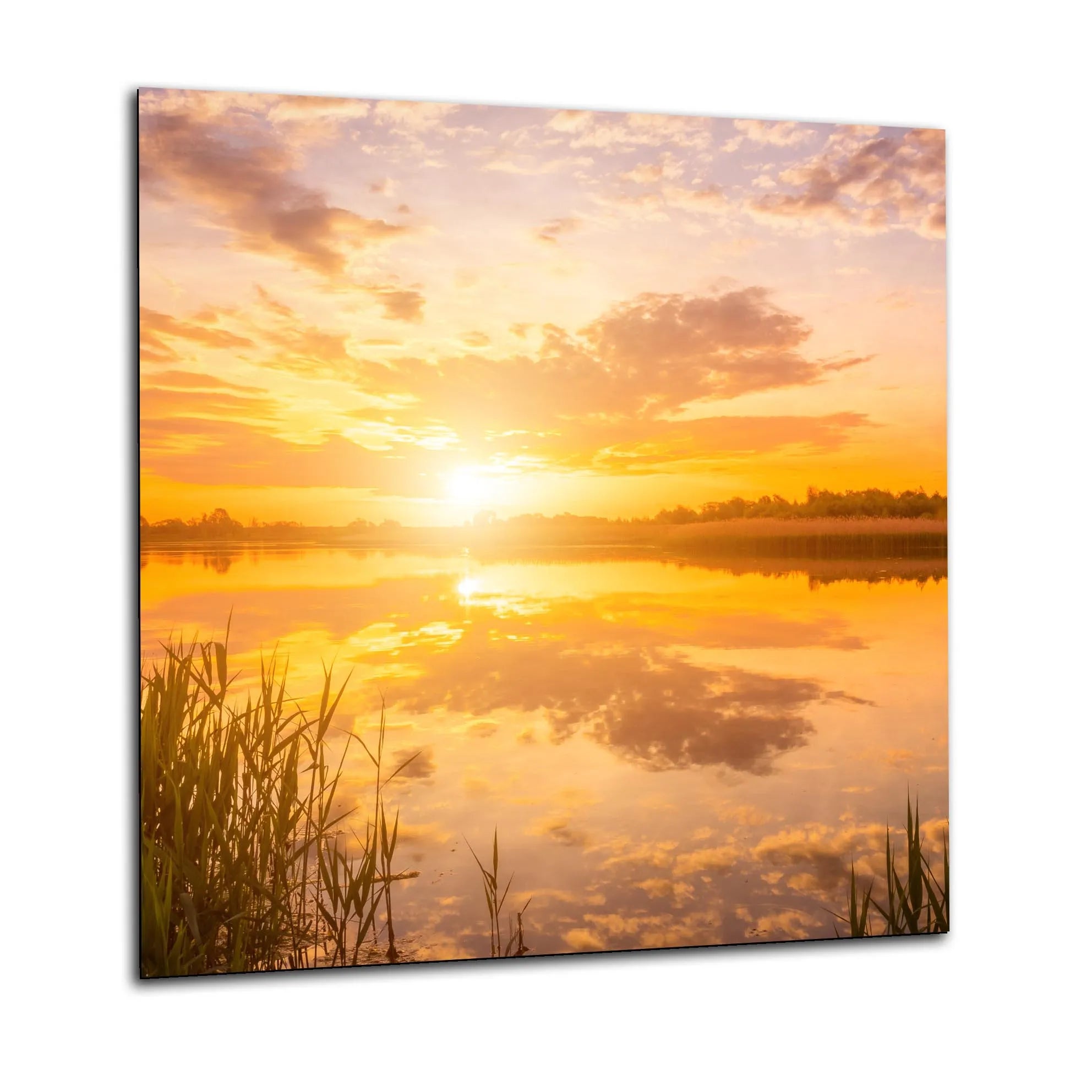 Summer Dusk Glass Splashback