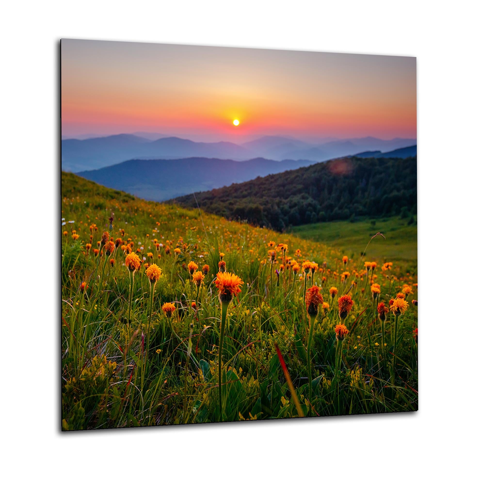 Mountain Flowers Glass Splashback