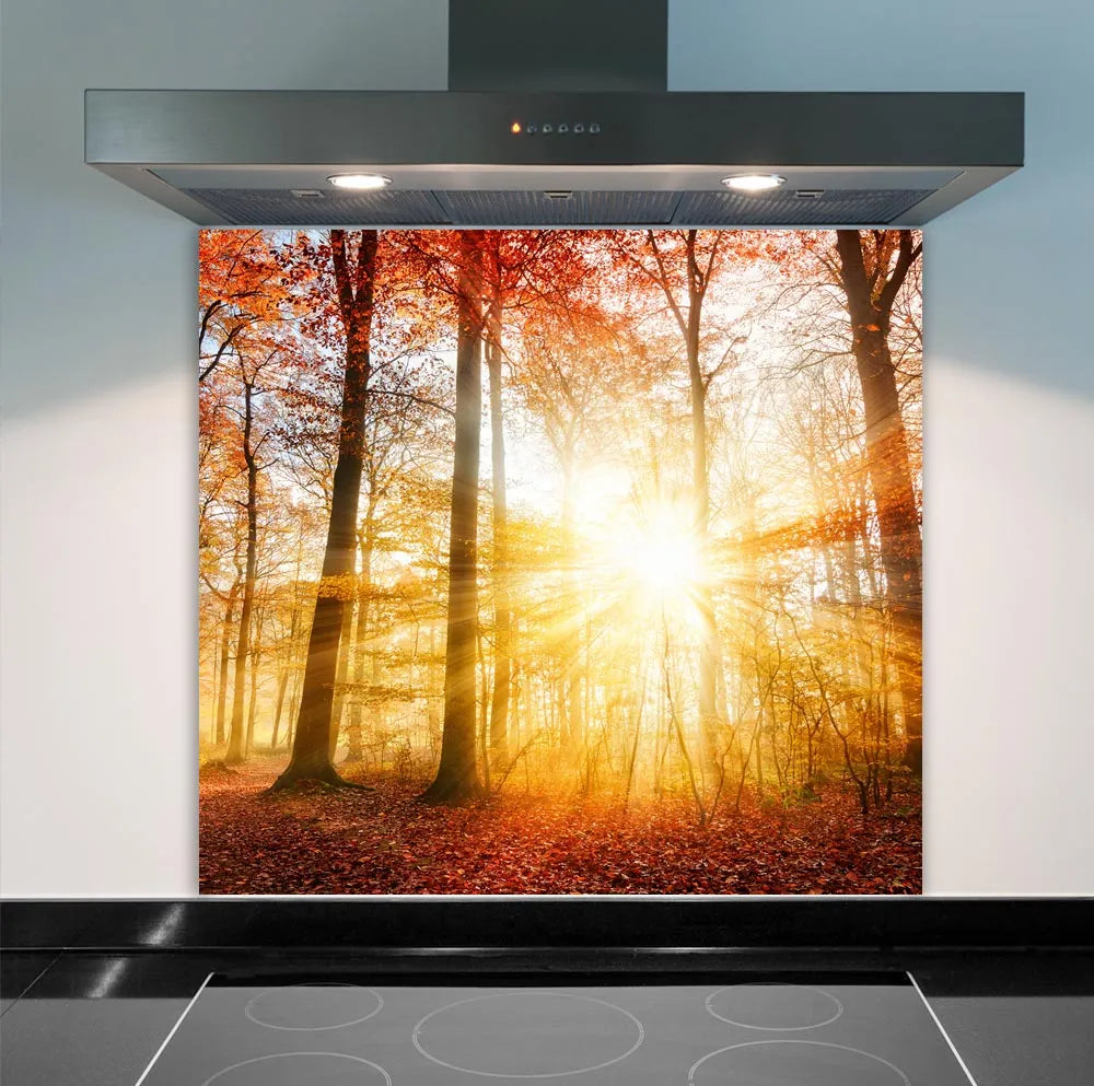 Autumn Leaves Glass Splashback