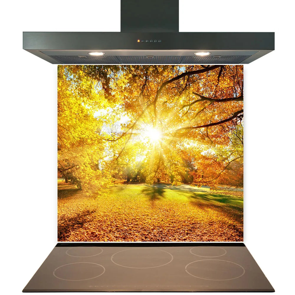 Autumn Sunset Glass Splashback