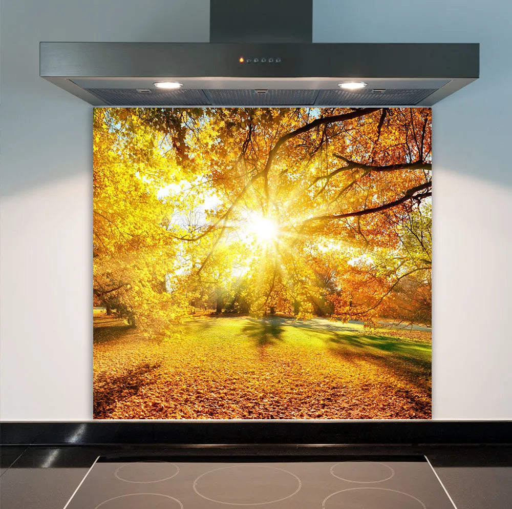 Autumn Sunset Glass Splashback