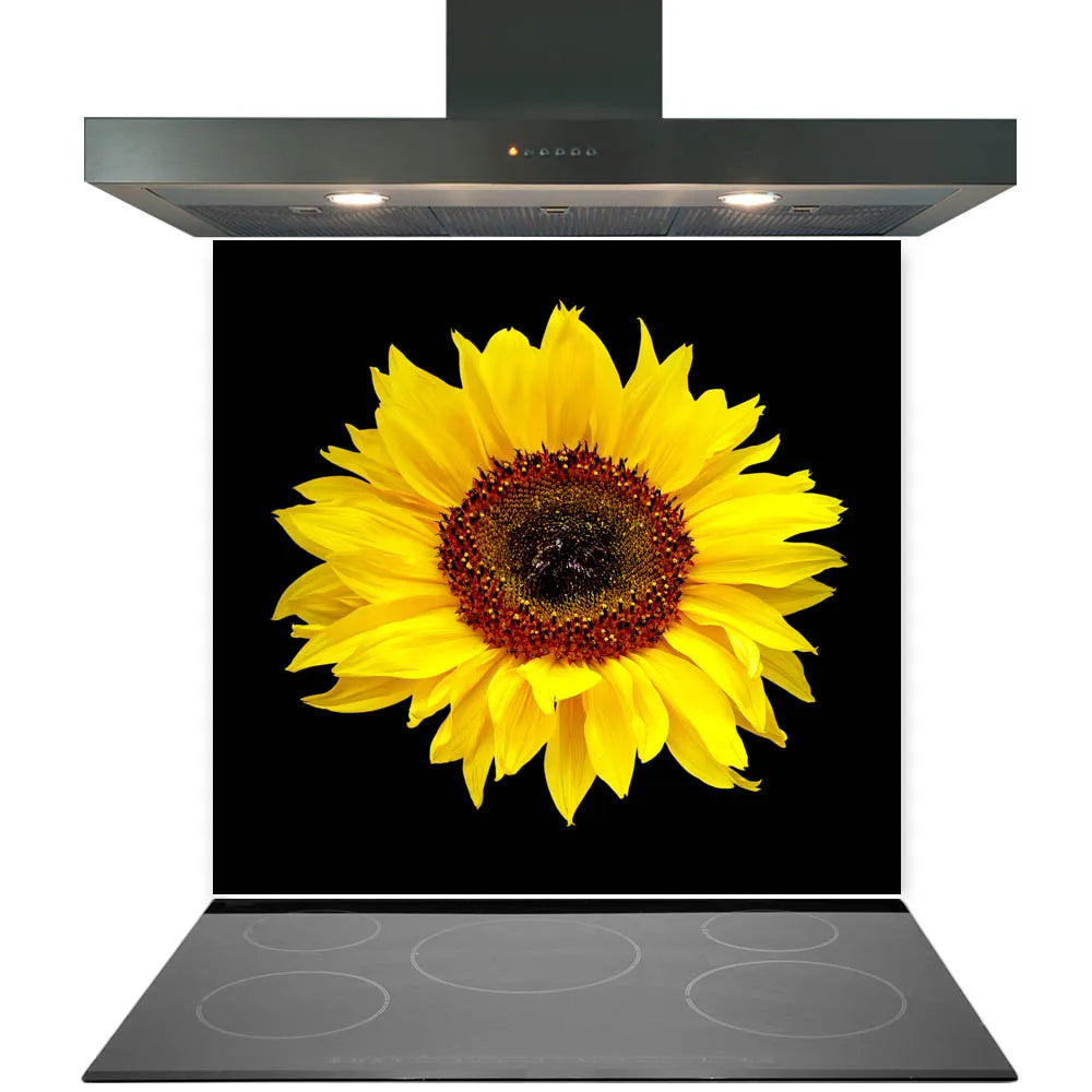 Black Sunflower Glass Splashback