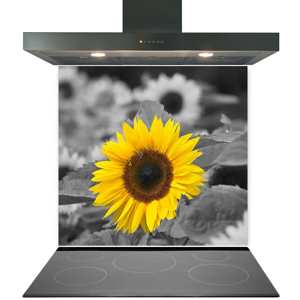 Bright Sunflower Glass Splashback