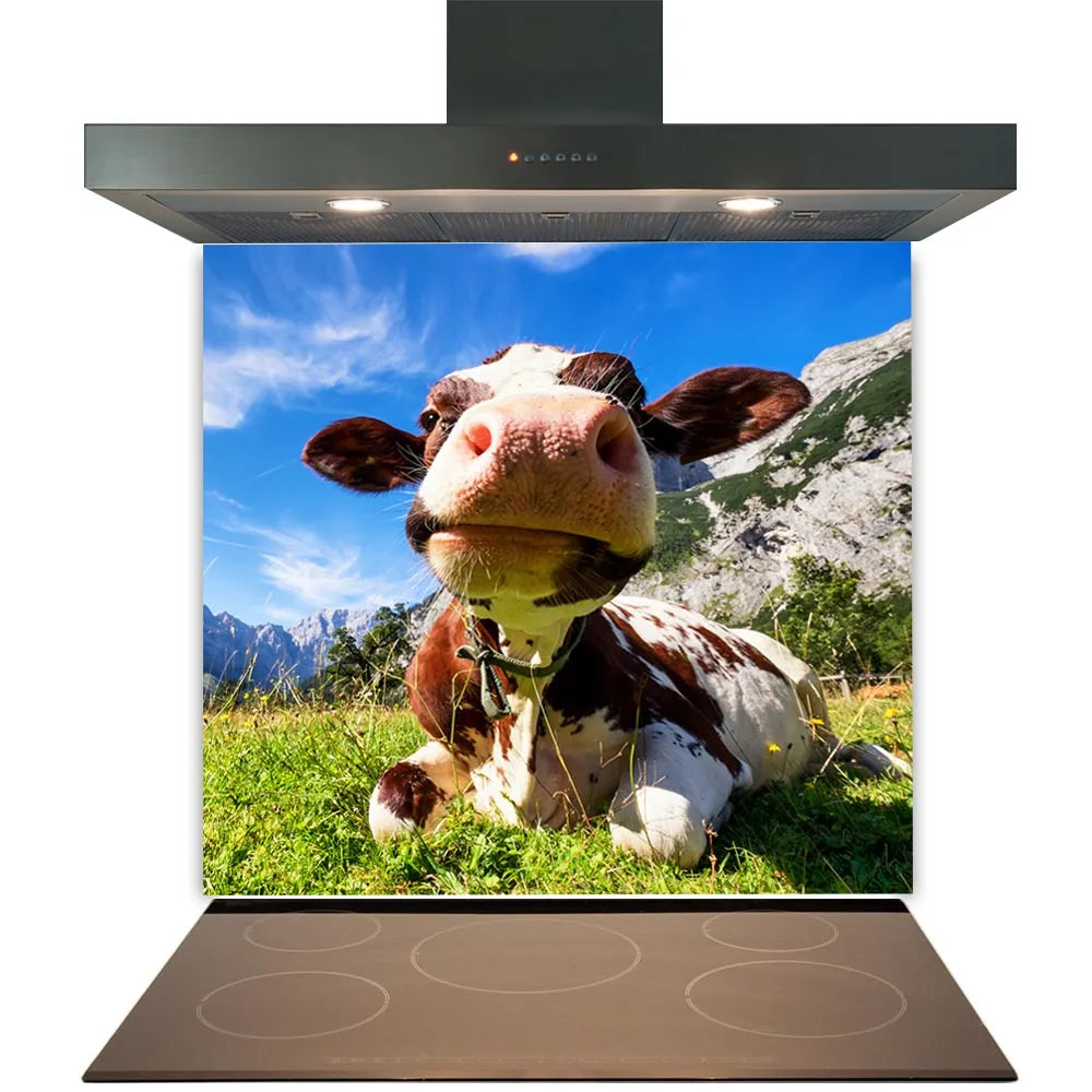 Cow Face Glass Splashback
