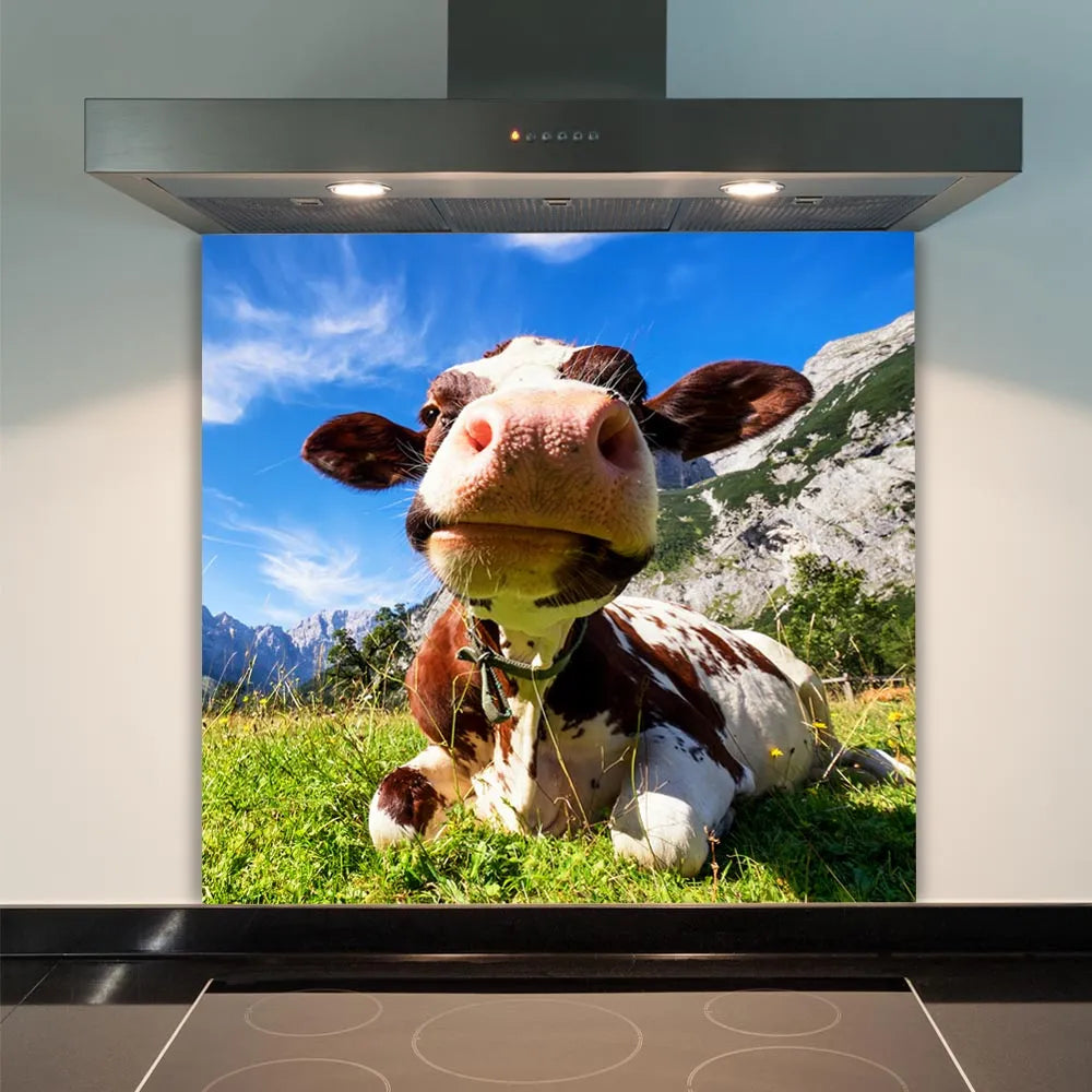 Cow Face Glass Splashback