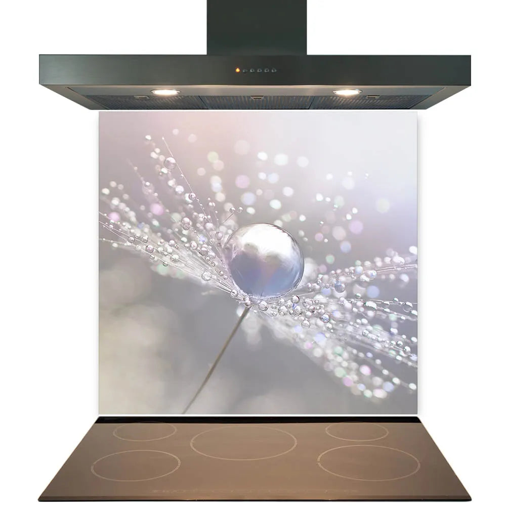 Dandelion Droplets Glass Splashback