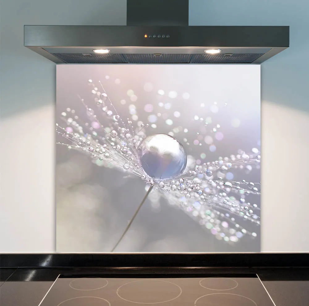 Dandelion Droplets Glass Splashback