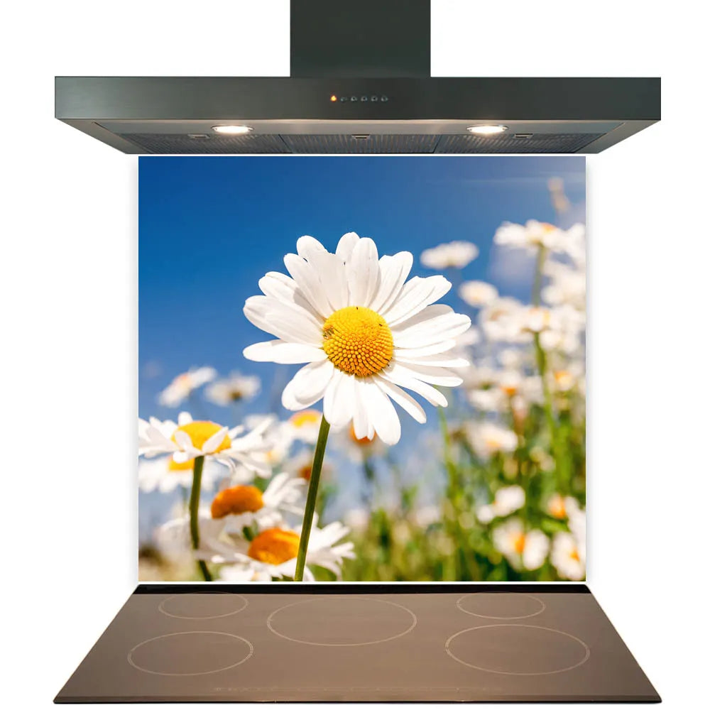 Daytime Daisies Glass Splashback
