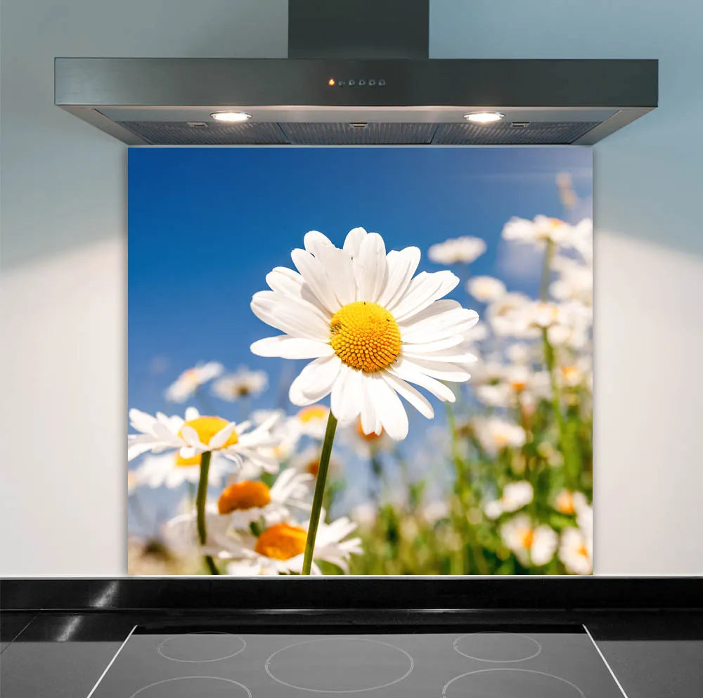 Daytime Daisies Glass Splashback