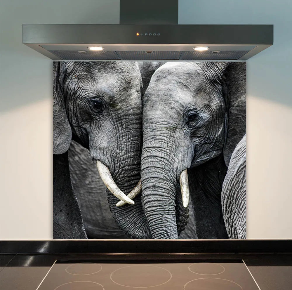 Elephants Glass Splashback