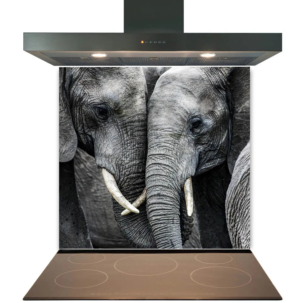Elephants Glass Splashback