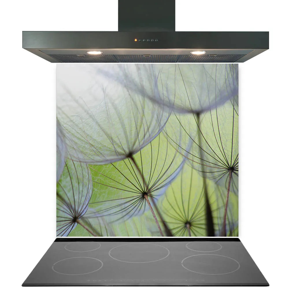 Green Dandelions Glass Splashback