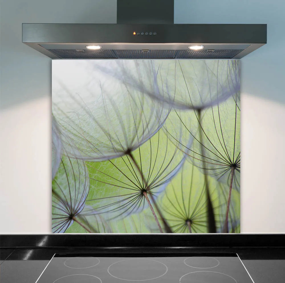Green Dandelions Glass Splashback