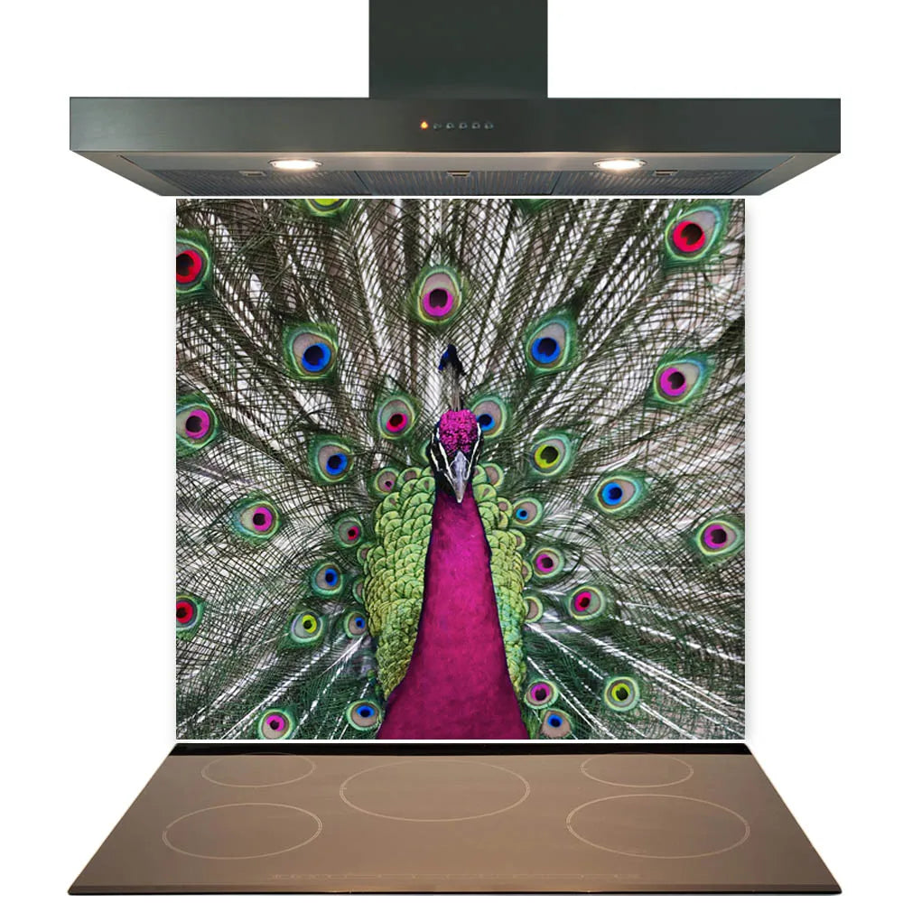 Peacock Glass Splashback