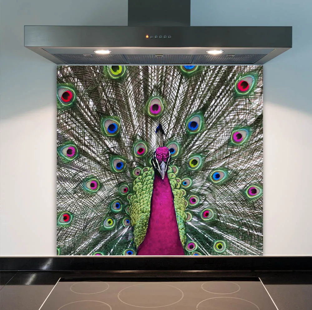 Peacock Glass Splashback