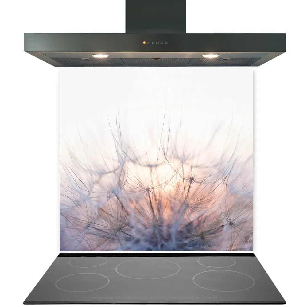 Soft Dandelions Glass Splashback