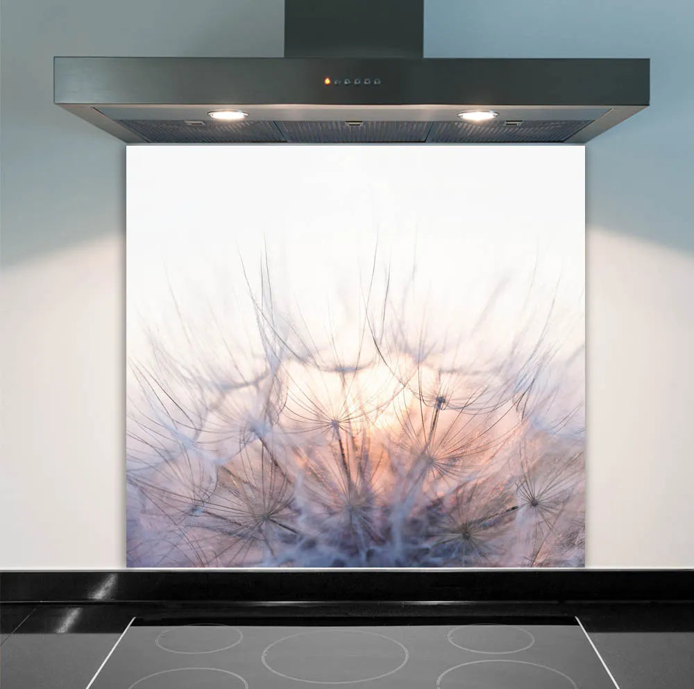 Soft Dandelions Glass Splashback