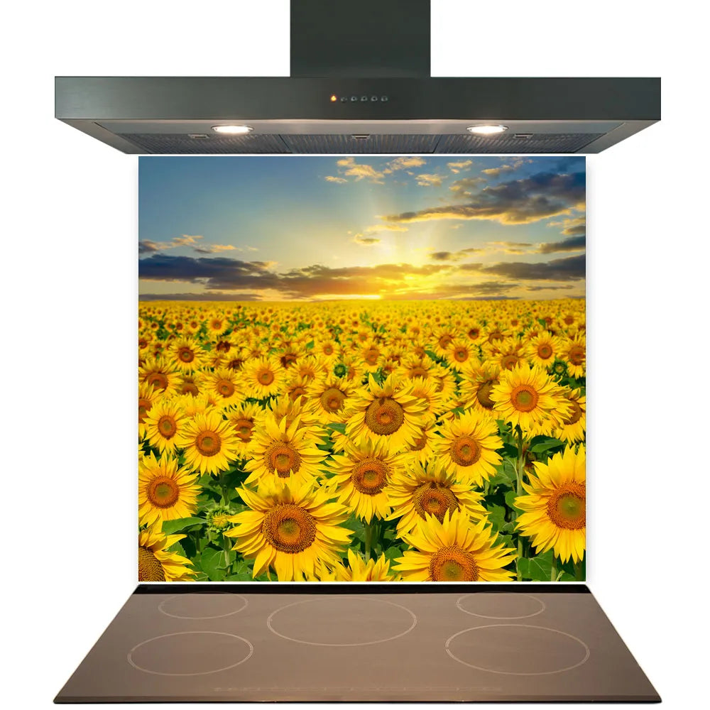 Sunflower Sunset Glass Splashback