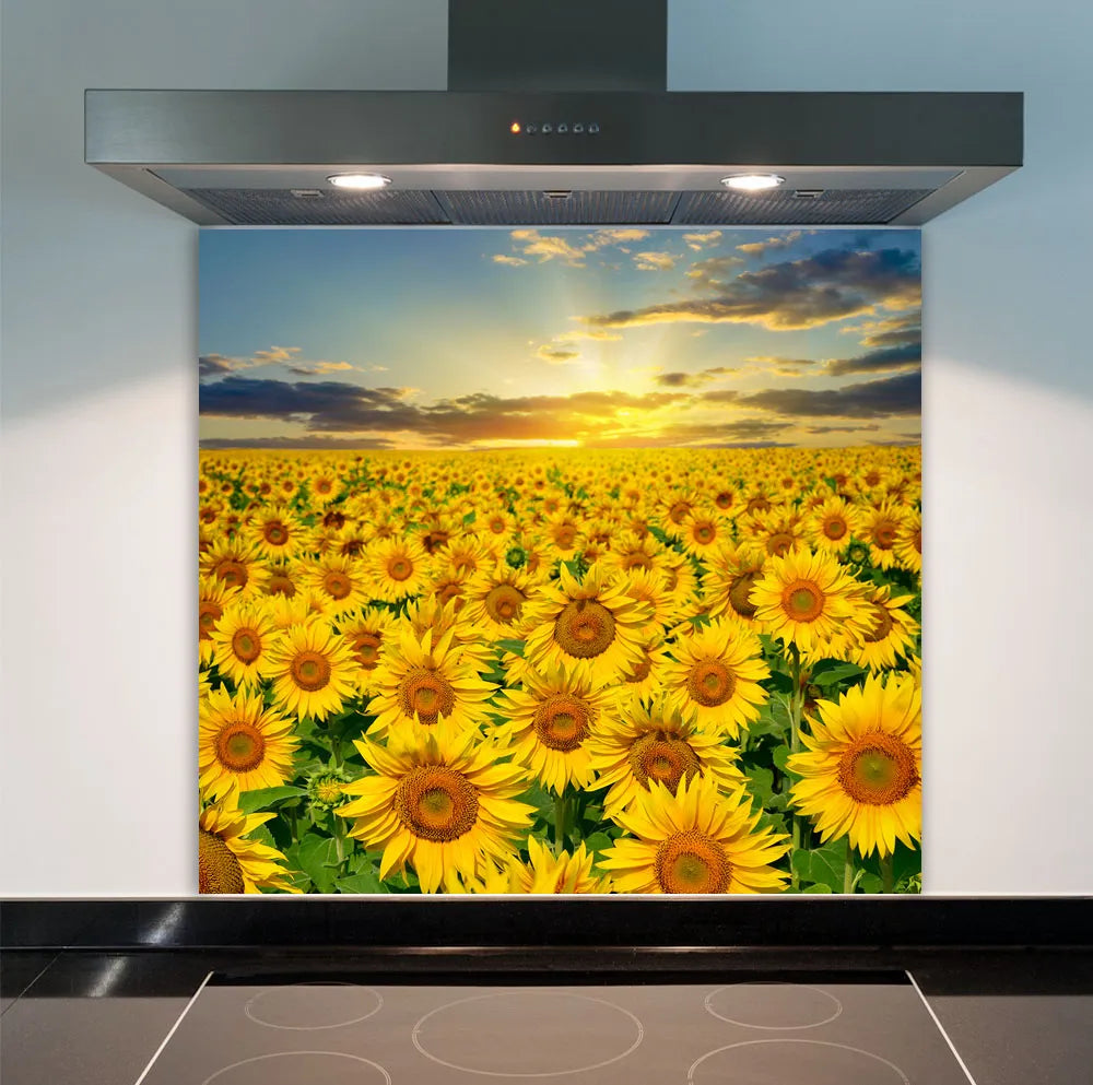 Sunflower Sunset Glass Splashback