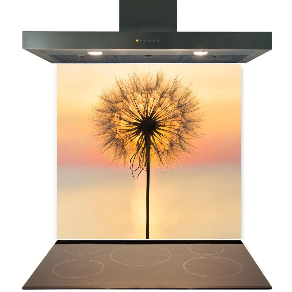 Sunset Dandelion Glass Splashback