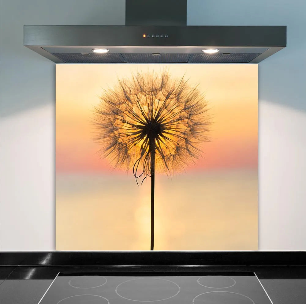 Sunset Dandelion Glass Splashback