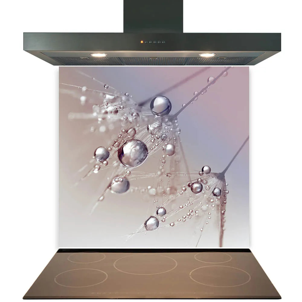 Water Dandelion Glass Splashback