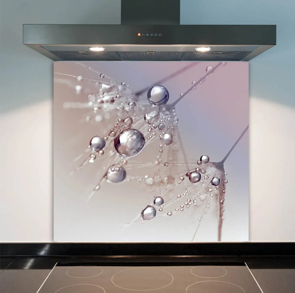 Water Dandelion Glass Splashback