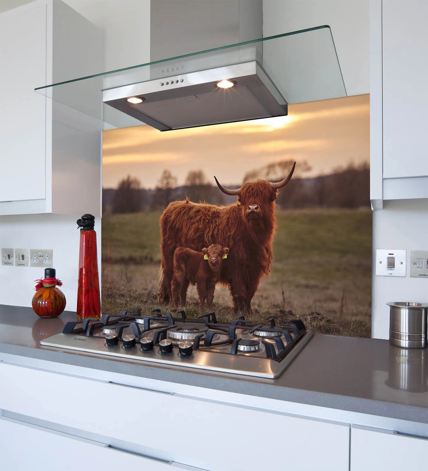 Highland Cow Duo Kitchen Splashback
