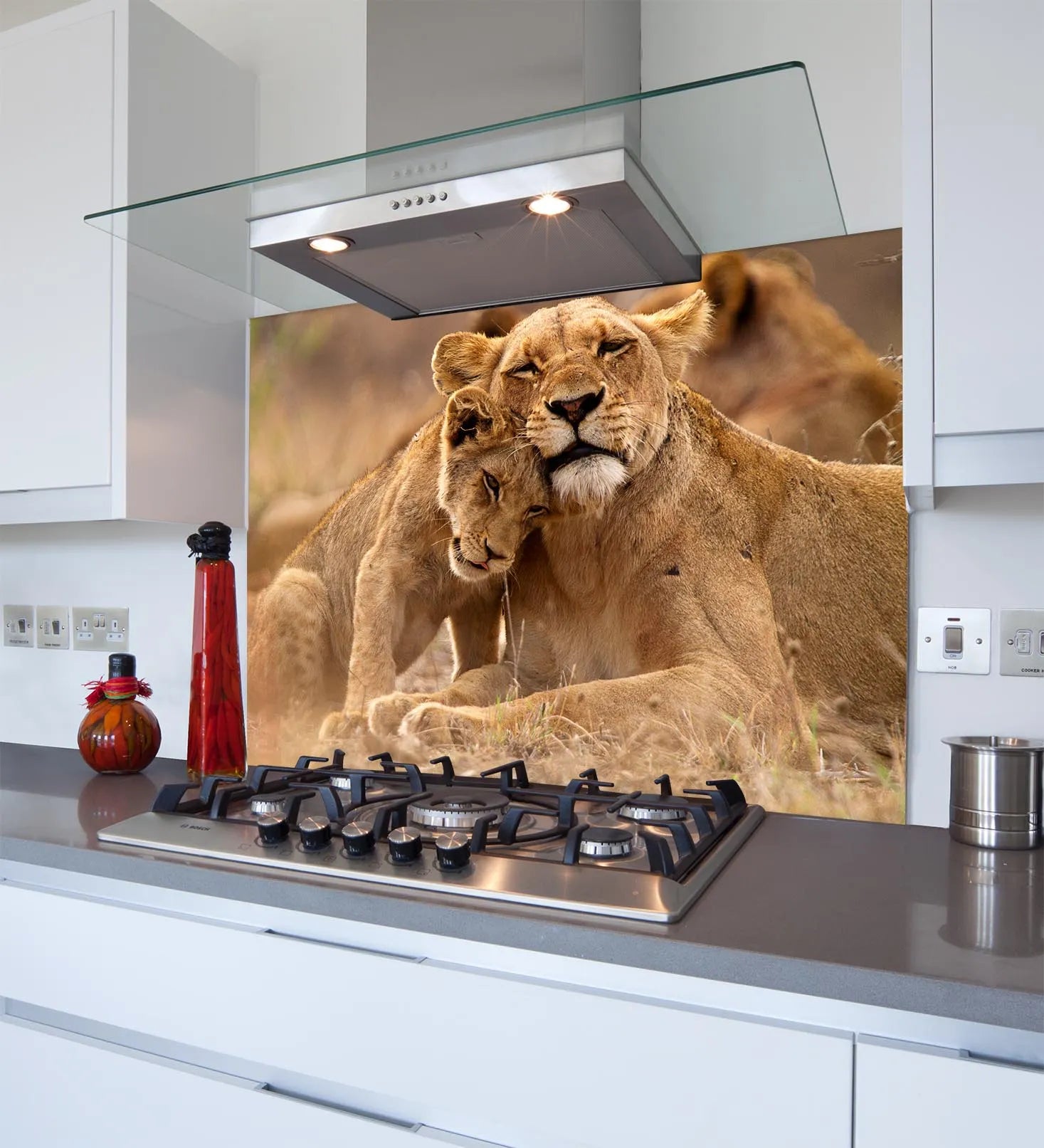 Lion Cuddles Glass Splashback