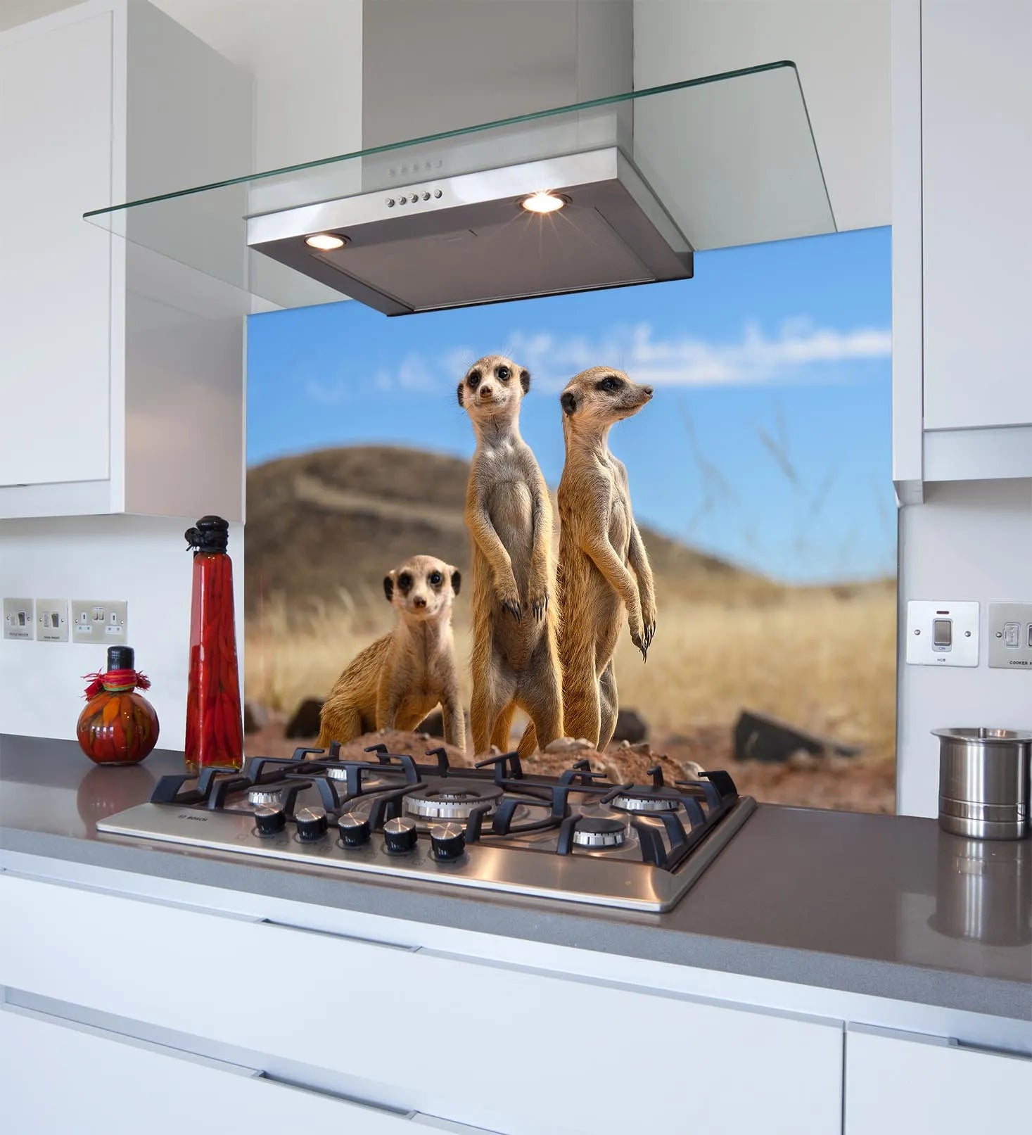 Meerkats Glass Splashback