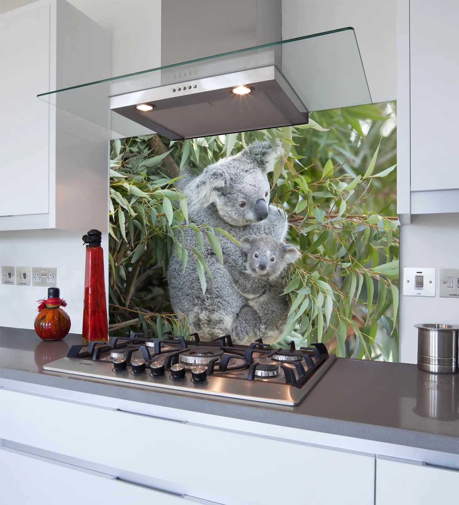 Koala Glass Splashback