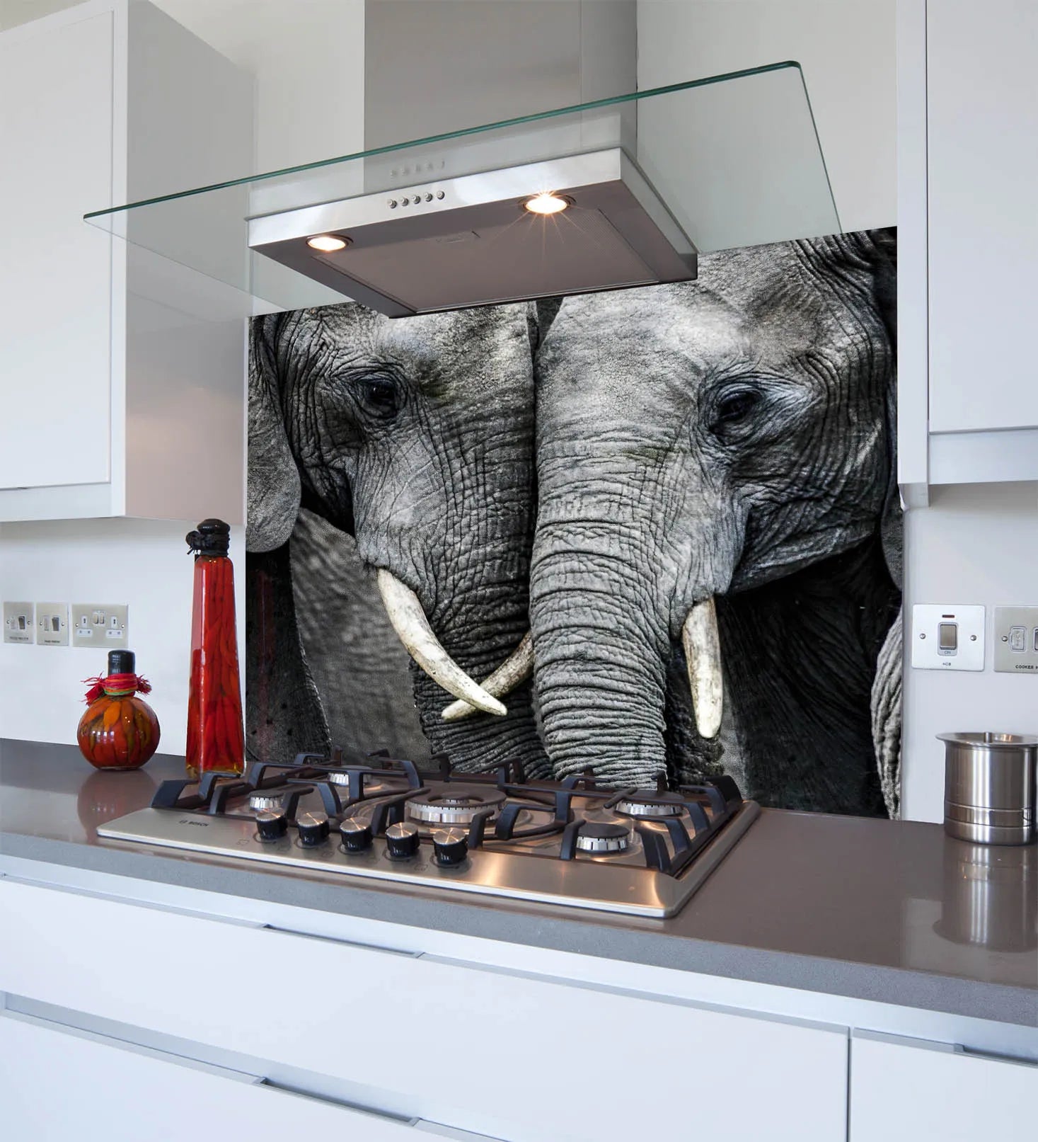 Elephants Glass Splashback