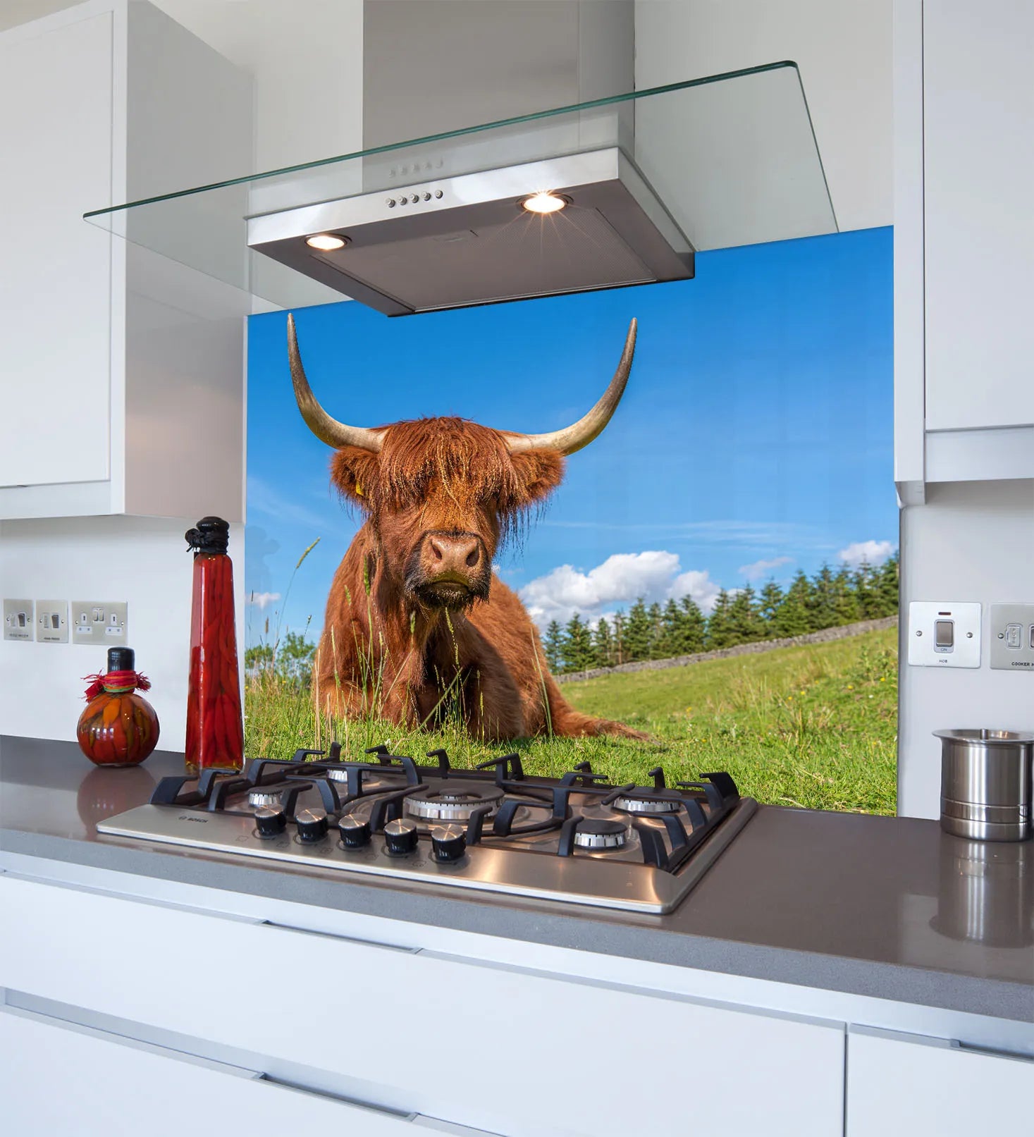 Highland Cow Glass Splashback